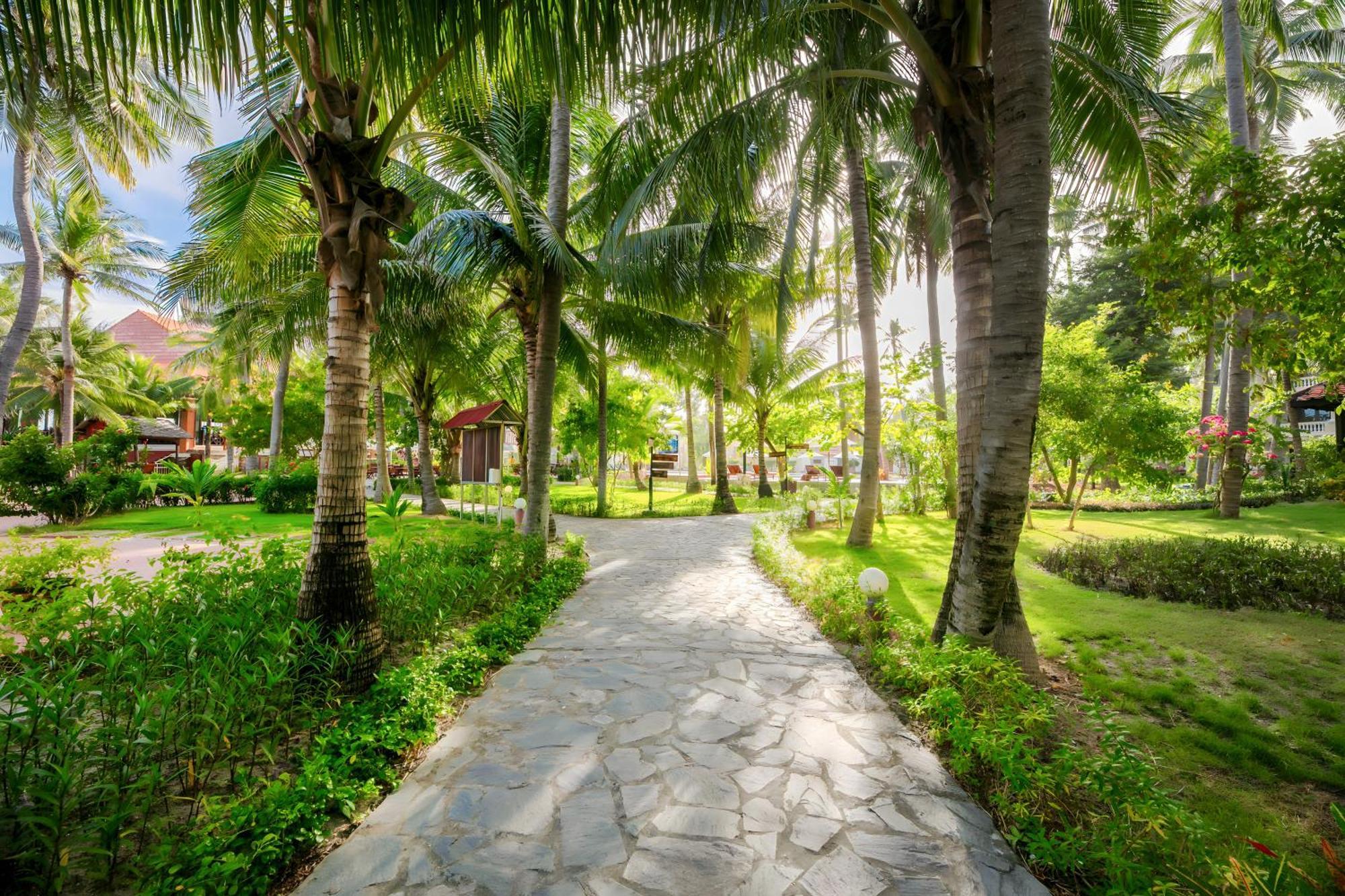 Sea Lion Beach Resort Mui Ne Exteriör bild